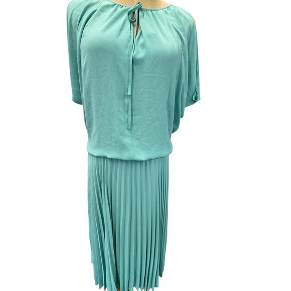 NWT!!, "LONA"Sage Green Dress, Pleated,Crinkled, Slit Sleeve,‎ Fairy,Flowing - Picture 1 of 12